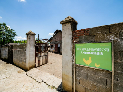 祥农嫂生态食品:乡野本真滋味,自然馈赠之选