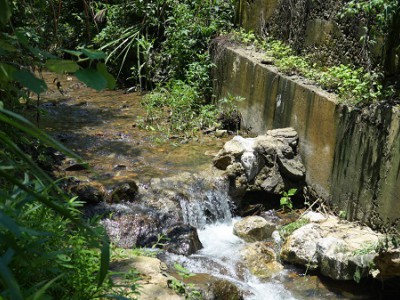 祥农嫂赌上尊严,让每一块肉都敢直播从源头到餐桌